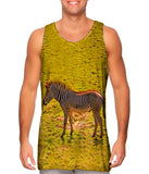 Savannah Zebra