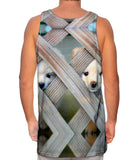 Pomeranian Peeking Through Fence