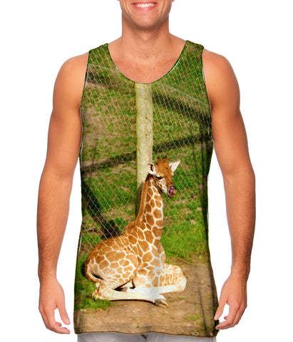 Groovy Giraffe