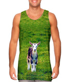 Fluffy Goat