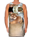 Furry Toy Pomeranian