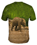 Jolly Baby Elephant