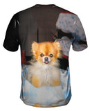 Kindhearted Pomeranian
