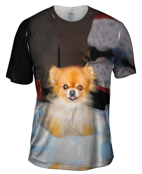 Kindhearted Pomeranian&nbsp;Mens T-Shirt