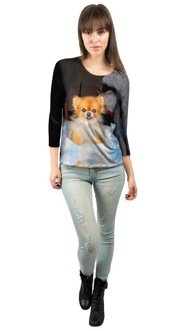 Kindhearted Pomeranian