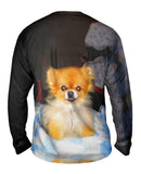 Kindhearted Pomeranian