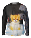 Kindhearted Pomeranian