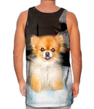Kindhearted Pomeranian