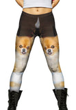 Kindhearted Pomeranian