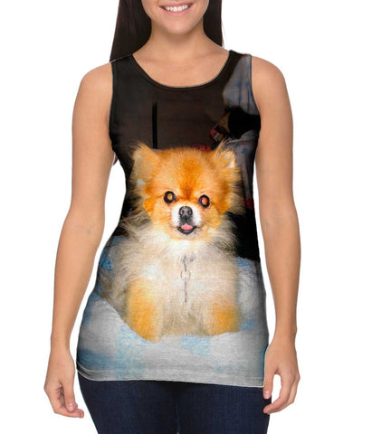 Kindhearted Pomeranian