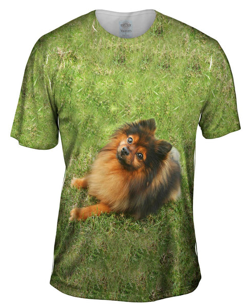 Obedient Pomeranian Mens T-Shirt