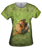 Obedient Pomeranian
