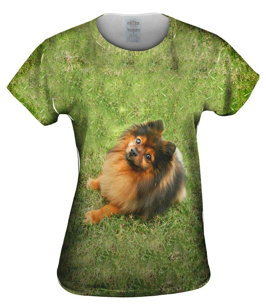 Obedient Pomeranian Womens Top