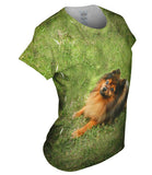 Obedient Pomeranian