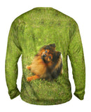 Obedient Pomeranian