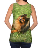 Obedient Pomeranian