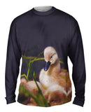 Fuzzy Little Ducky