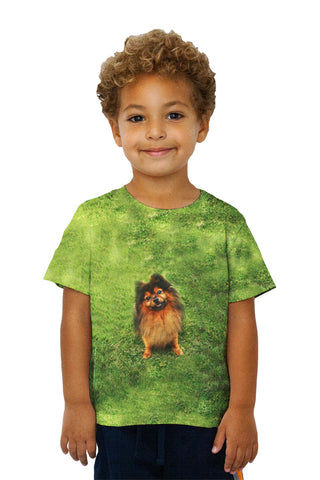 Kids Photogenic Pomeranian