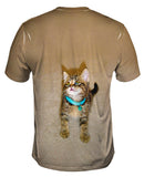 Tireless Kitty Cat