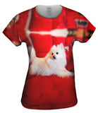 Super Pomeranian