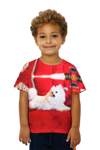 Kids Super Pomeranian