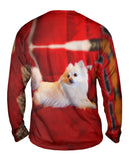 Super Pomeranian