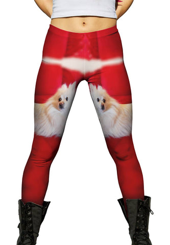 Super Pomeranian