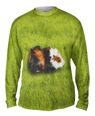 Robust Guinea Pig