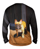 Sun Is In My Eyes French Bulldog