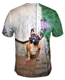 Whats That French Bulldog