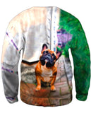 Whats That French Bulldog