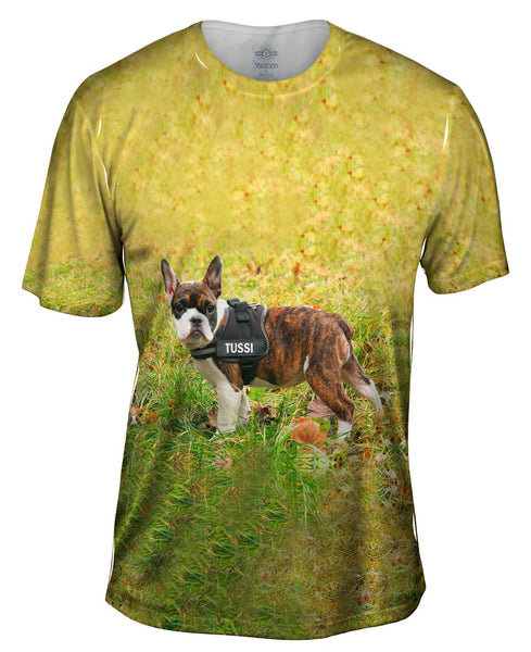 Tussi French Bulldog Mens T-Shirt