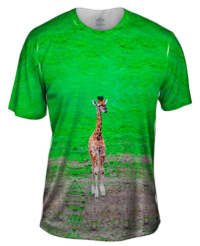 Tender Giraffe