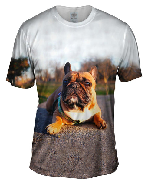 Thundering French Bulldog Mens T-Shirt