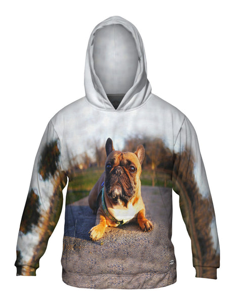 Thundering French Bulldog Mens Hoodie Sweater