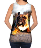 Thundering French Bulldog