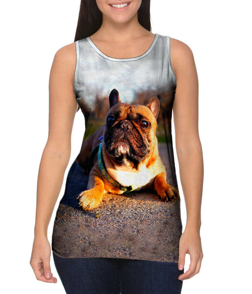 Thundering French Bulldog Womens Tank Top