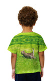 Kids Kitty Cat Chase