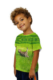 Kids Kitty Cat Chase