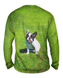 Sophisticated French Bulldog