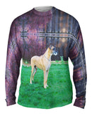 Prestigious Great Dane