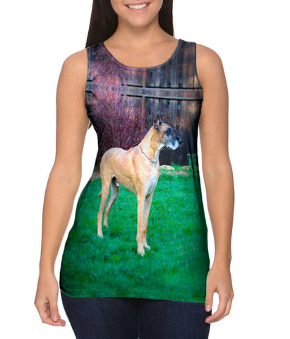 Prestigious Great Dane