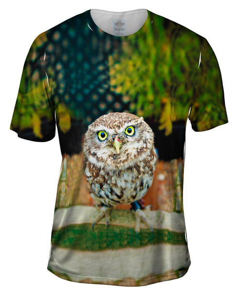 Curious Owl Mens T-Shirt