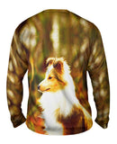 Swift Sheltie
