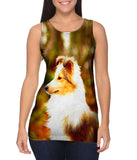 Swift Sheltie
