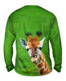 Zippy Giraffe