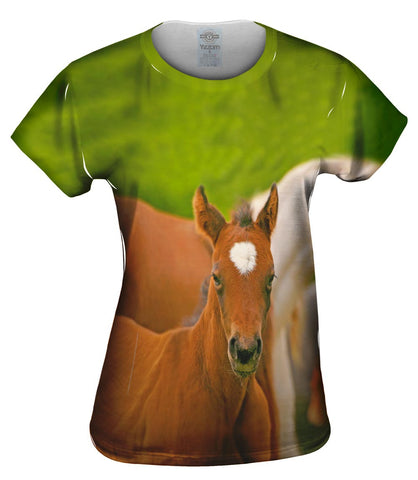 Humble Horse