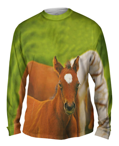 Humble Horse
