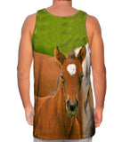 Humble Horse