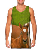 Humble Horse